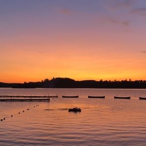 Meet your Posher, Kristyn